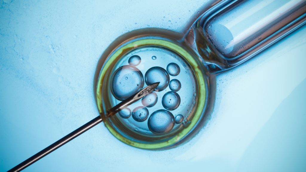 Best IVF Center